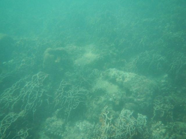 dscn1651